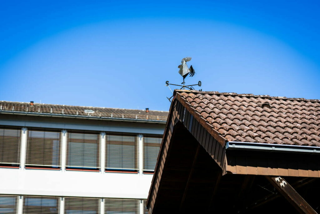 Detail: Ein Wetterhahn auf dem Dach des Schulhof-Überbaus